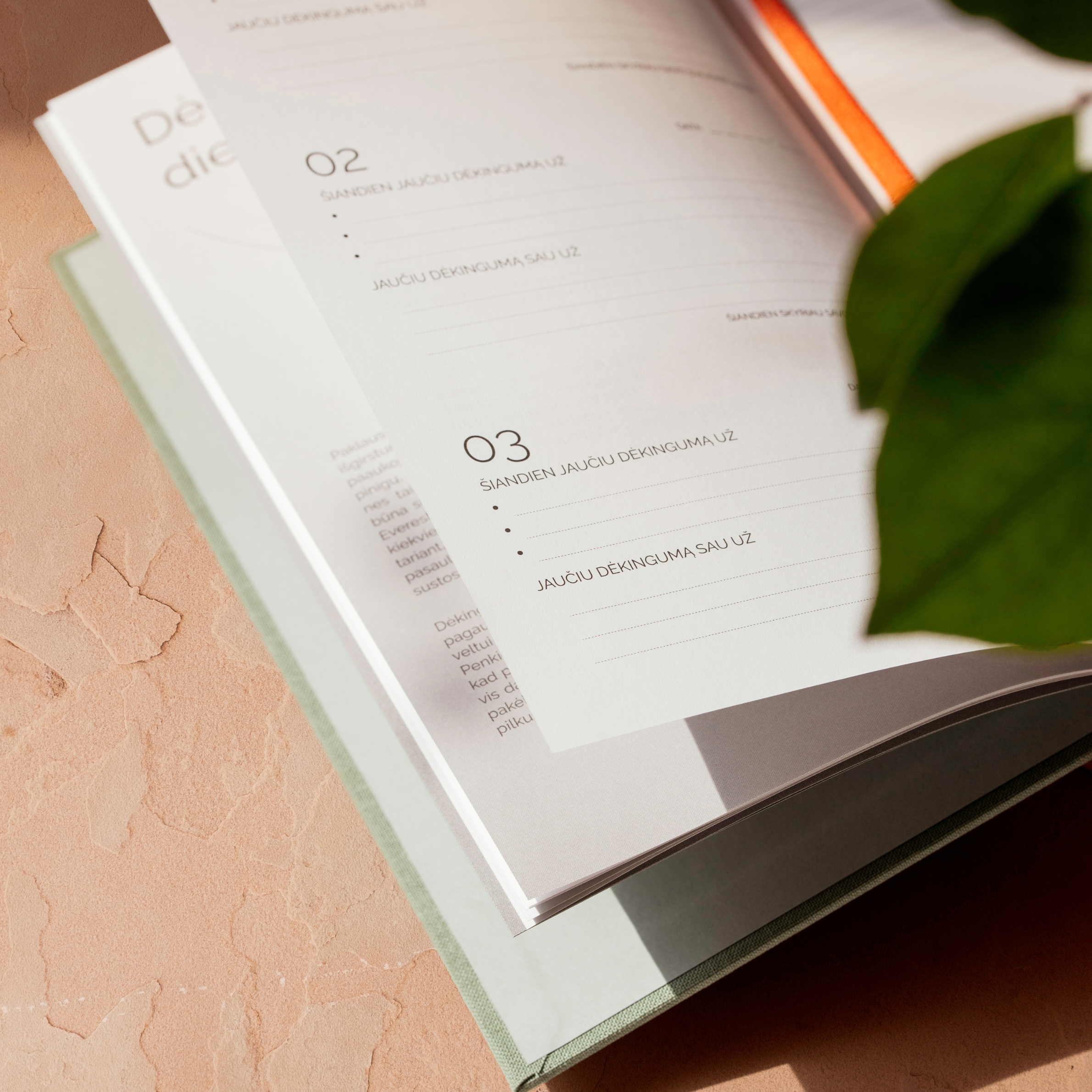 Gratitude Journal